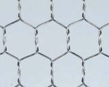 Galvanized Hexagonal Netting 