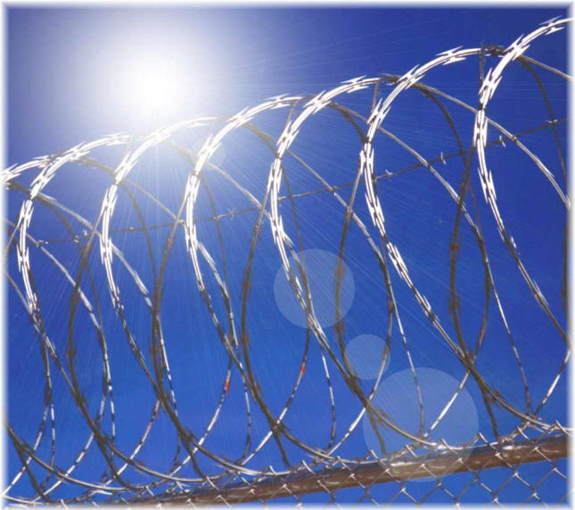 Razor Barbed wire mesh1